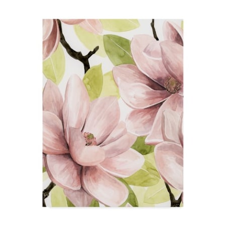Grace Popp 'Blush Magnolia I' Canvas Art,14x19